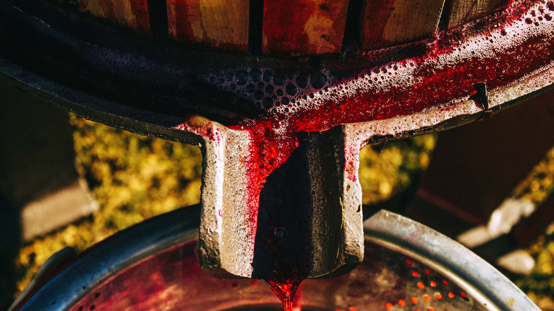 A ciência do vinho: fermentação