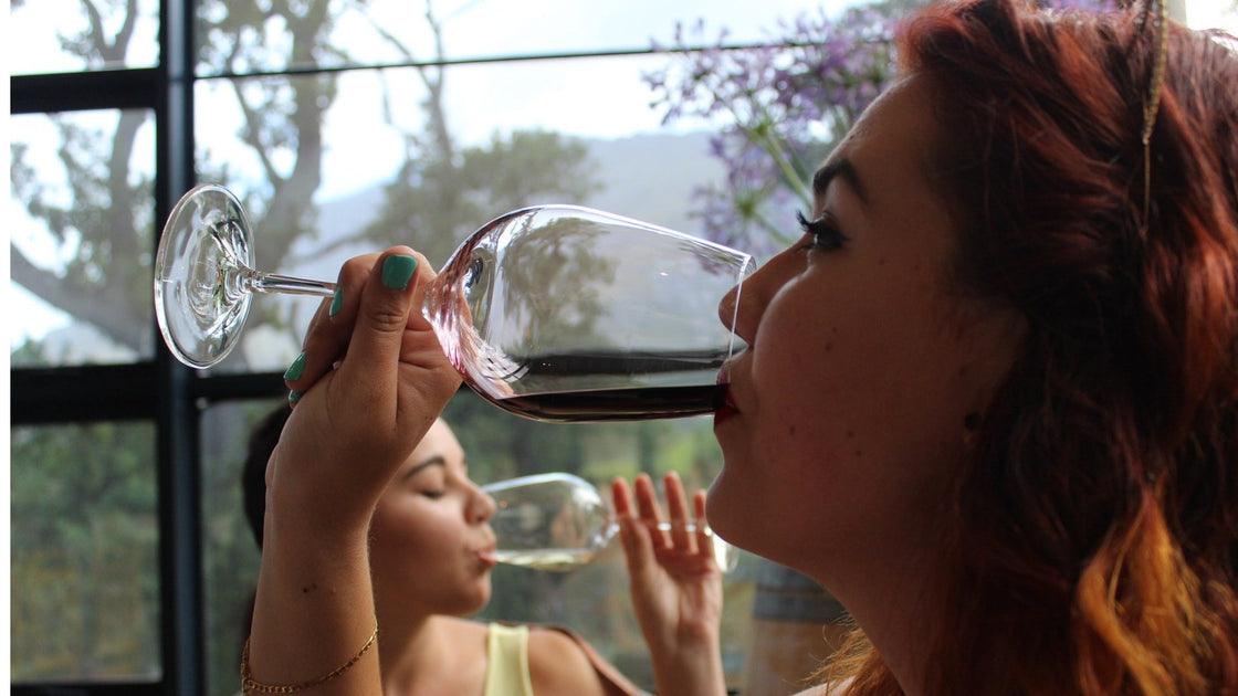 Apreciadores de vinho possuem Q.I. mais alto? - Vinsel Vinhos