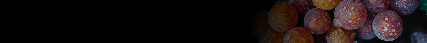 Carménère - Vinsel Vinhos