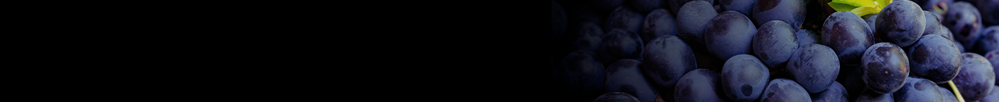 Lambrusco - Vinsel Vinhos