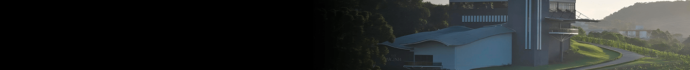 Luiz Argenta - Vinsel Vinhos