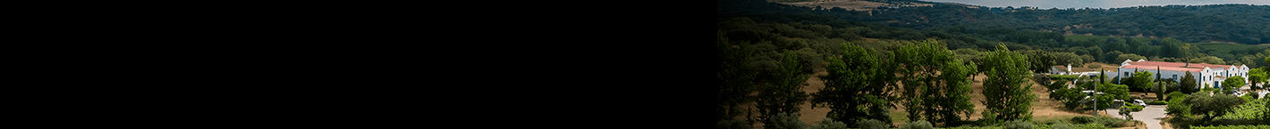 Monte da Ravasqueira - Vinsel Vinhos