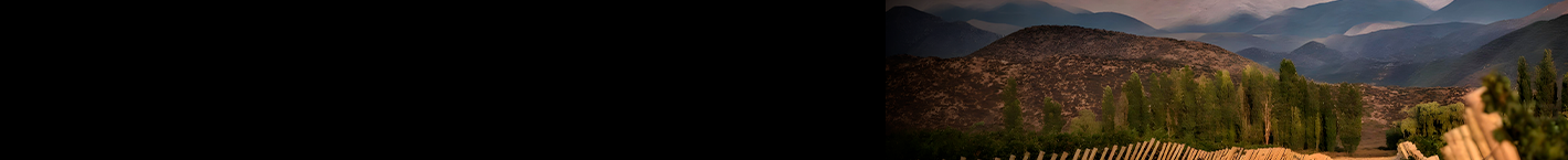 Mosquita Muerta - Vinsel Vinhos