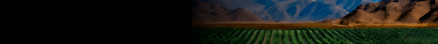 Poggio Marù - Vinsel Vinhos