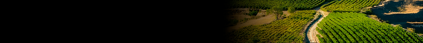 Toro Loco - Vinsel Vinhos