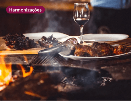 Churrasco e Vinho: Guia Completo de Harmonização para uma Experiência Perfeita - Vinsel Vinhos