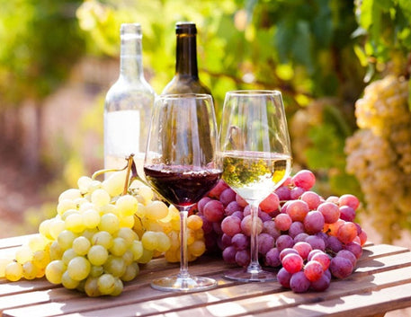 Muito além da uva: o que faz vinhos iguais na origem serem tão diferentes na taça