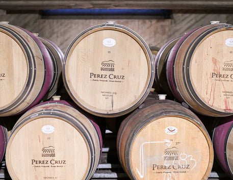 Vinícola Pérez Cruz: a história de um ícone chileno que conquistou o mundo o nascimento de uma vinícola nos Andes