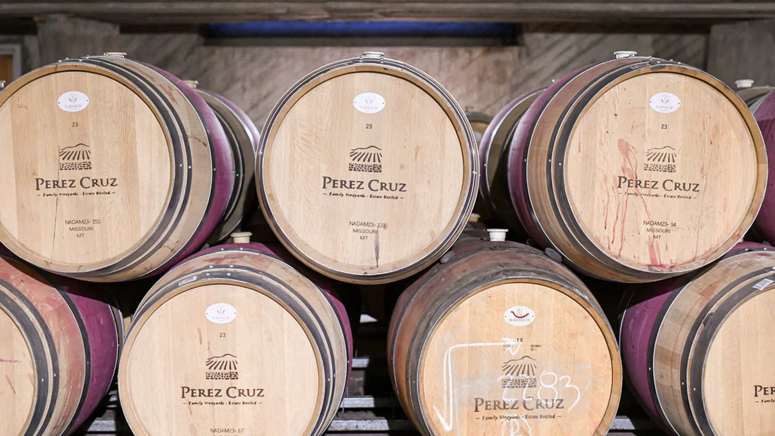 Vinícola Pérez Cruz: a história de um ícone chileno que conquistou o mundo o nascimento de uma vinícola nos Andes