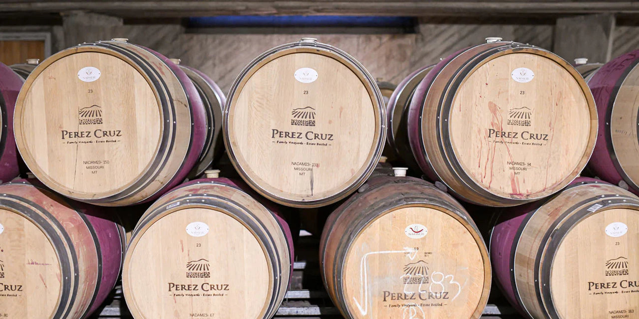 Vinícola Pérez Cruz: a história de um ícone chileno que conquistou o mundo o nascimento de uma vinícola nos Andes