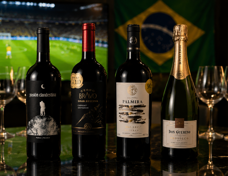 Harmonização de Vinhos com Petiscos para Assistir aos Jogos da Copa