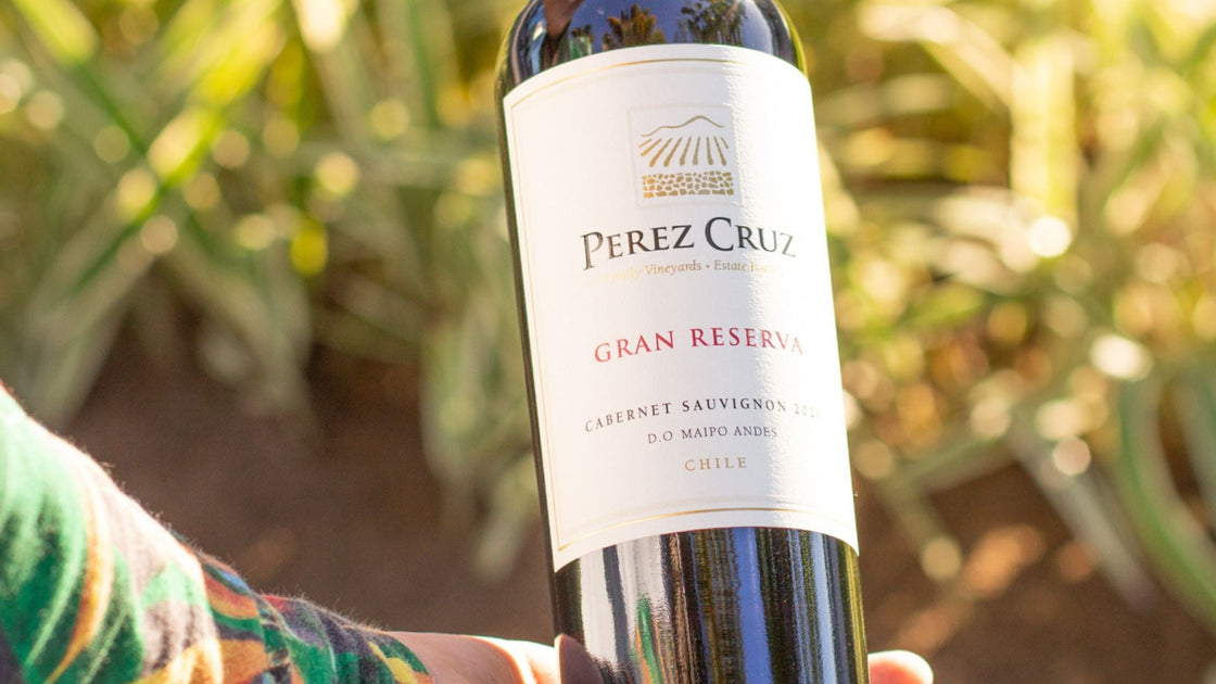 Top 5 vinhos para você conhecer em maio – Dicas exclusivas da Vinsel