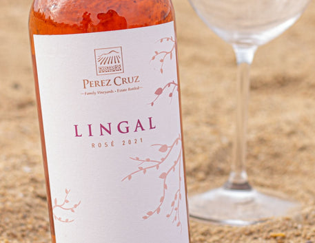 Vinho para o dia das Mães: celebre com boas taças