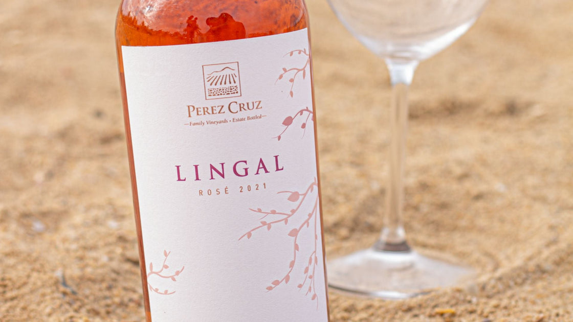 Vinho para o dia das Mães: celebre com boas taças
