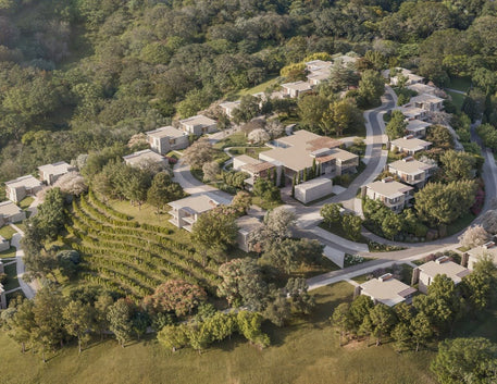 Tendência Global: Empreendimentos e o Universo do Vinho - Vinsel Vinhos