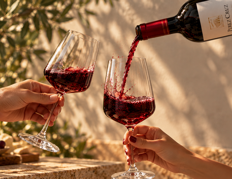 Vinhos Tintos para Iniciantes: 5 Uvas para Conhecer