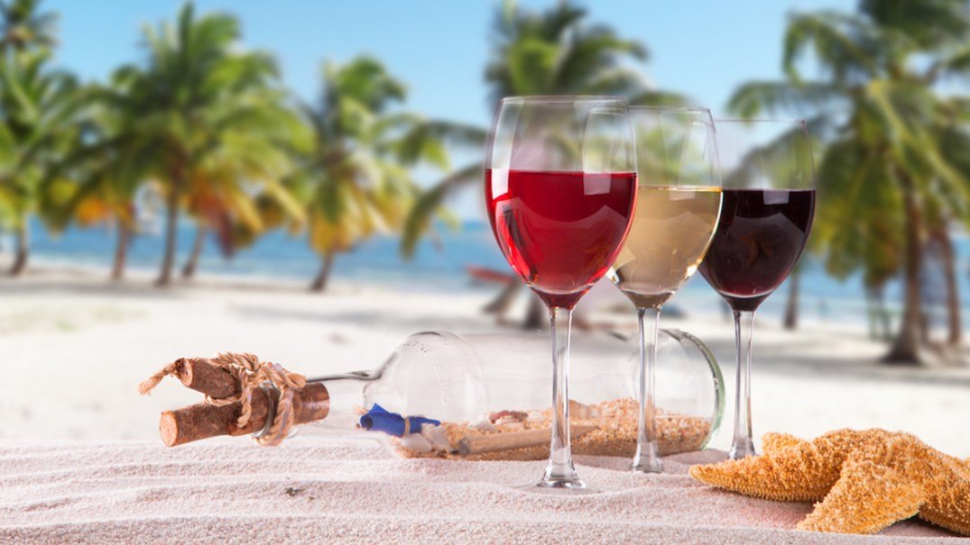 Vinhos para o Verão: Tudo que Você Precisa Saber! - Vinsel Vinhos