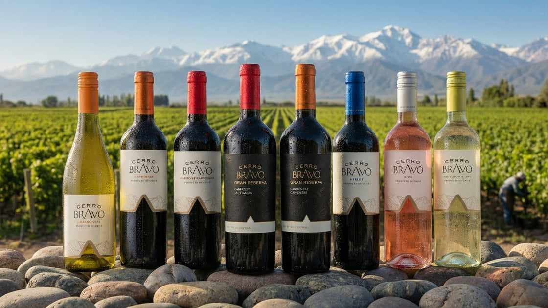 CERRO BRAVO: A NOVIDADE QUE CONQUISTA