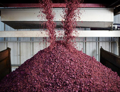 Como acontece a fermentação do vinho? - Vinsel Vinhos