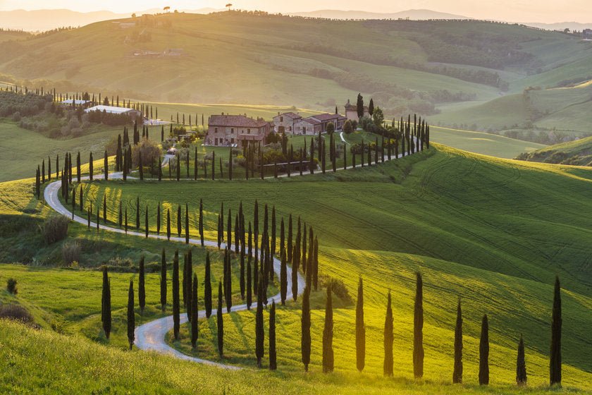 Explorando a Magia de Chianti: O Coração Vinícola da Itália - Vinsel Vinhos