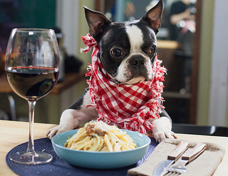 Notas de Uivos:  Agora o o brinde também é com os pets!