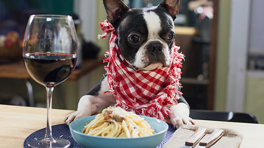 Notas de Uivos:  Agora o o brinde também é com os pets!