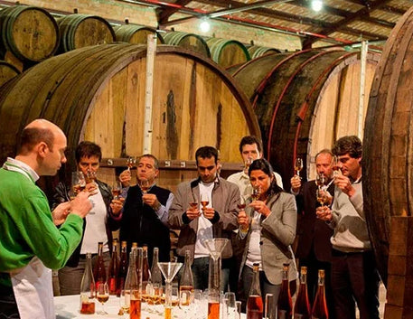 Desvendando as Sensações Degustativas do Vinho