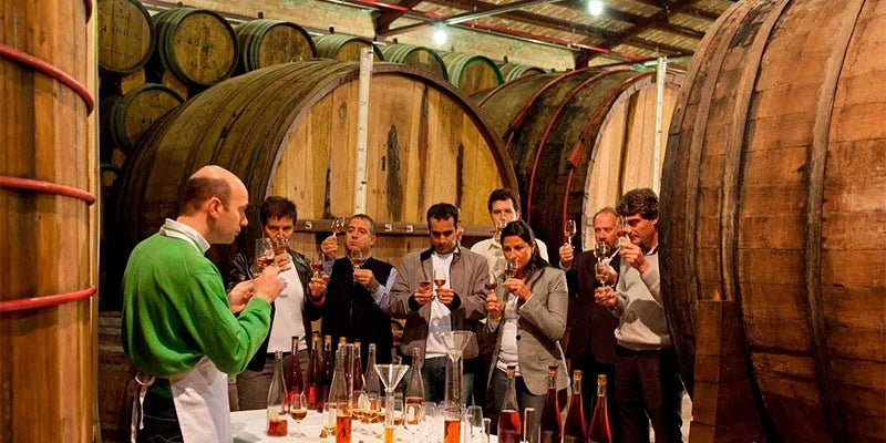 Desvendando as Sensações Degustativas do Vinho