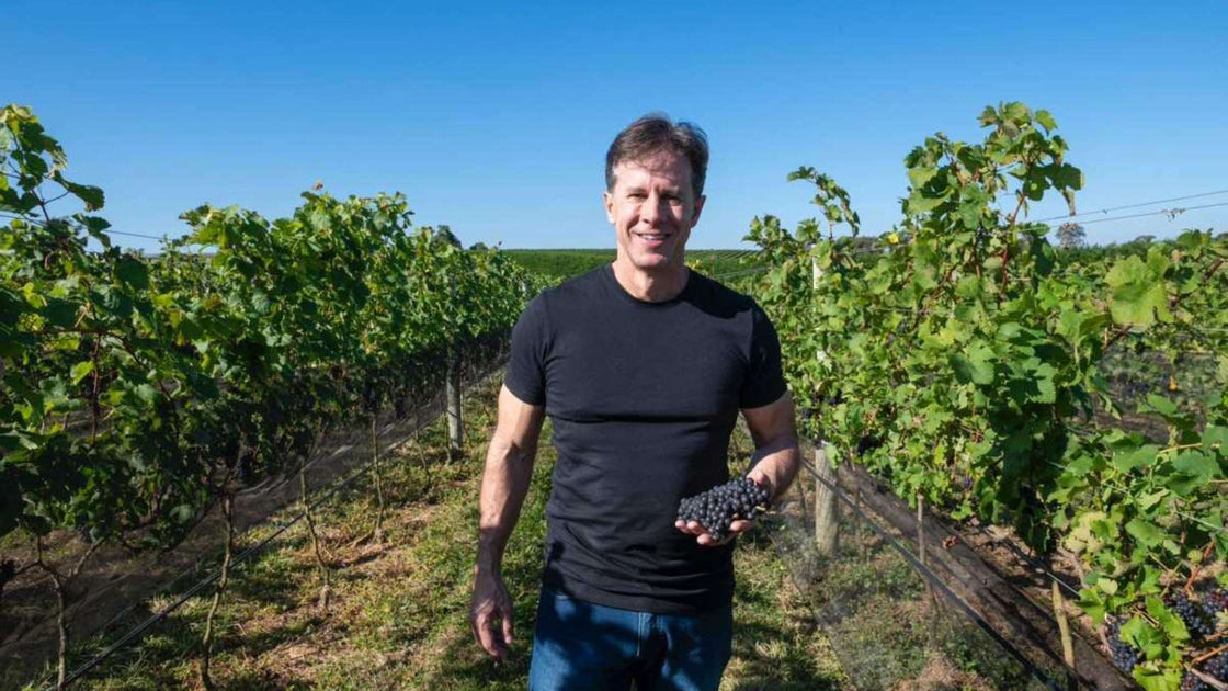 Vinho mineiro conquista título de Sauvignon Blanc mais bem pontuado do Brasil - Vinsel Vinhos