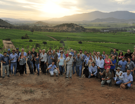 Explorando a História e os Distintos Vinhos da Vinícola Koyle: Um Olhar sobre os Vinhos Orgânicos, Biodinâmicos e Naturais do Chile - Vinsel Vinhos