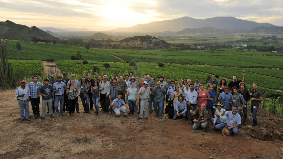 Explorando a História e os Distintos Vinhos da Vinícola Koyle: Um Olhar sobre os Vinhos Orgânicos, Biodinâmicos e Naturais do Chile - Vinsel Vinhos