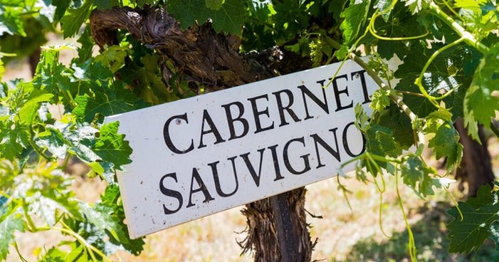 Cabernet Franc: Ancestral, Elegante e Complexa. - Vinsel Vinhos