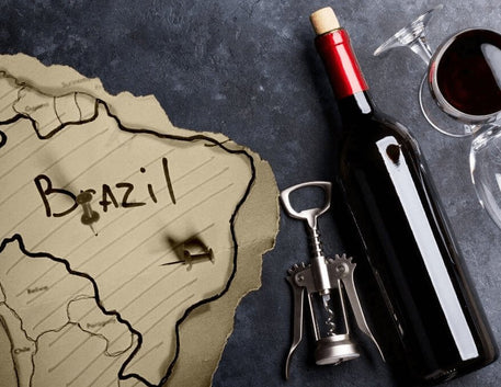 Uma Viagem pela História da Viticultura no Brasil - Vinsel Vinhos