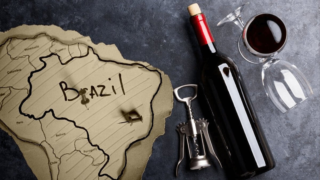 Uma Viagem pela História da Viticultura no Brasil - Vinsel Vinhos