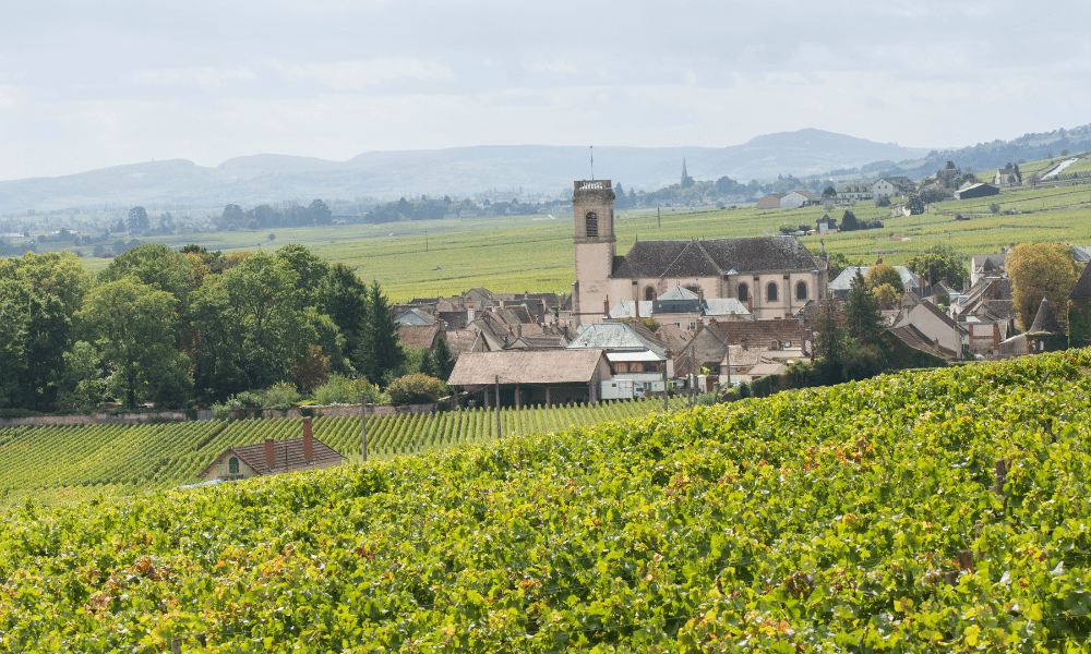 Explorando a Elegância de Pomerol: O Tesouro Vinícola da França - Vinsel Vinhos