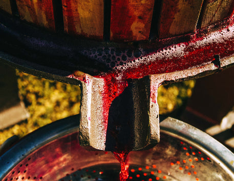 A ciência do vinho: fermentação