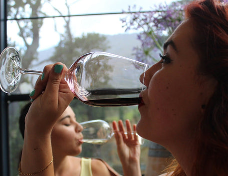Apreciadores de vinho possuem Q.I. mais alto? - Vinsel Vinhos