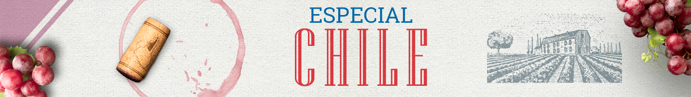 Especial Chile - Vinsel Vinhos