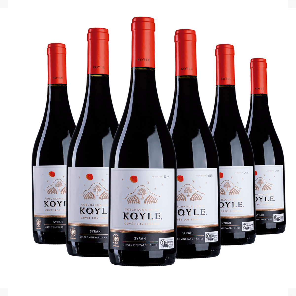 Kit 6 Koyle Cuvée Los Lingues Syrah