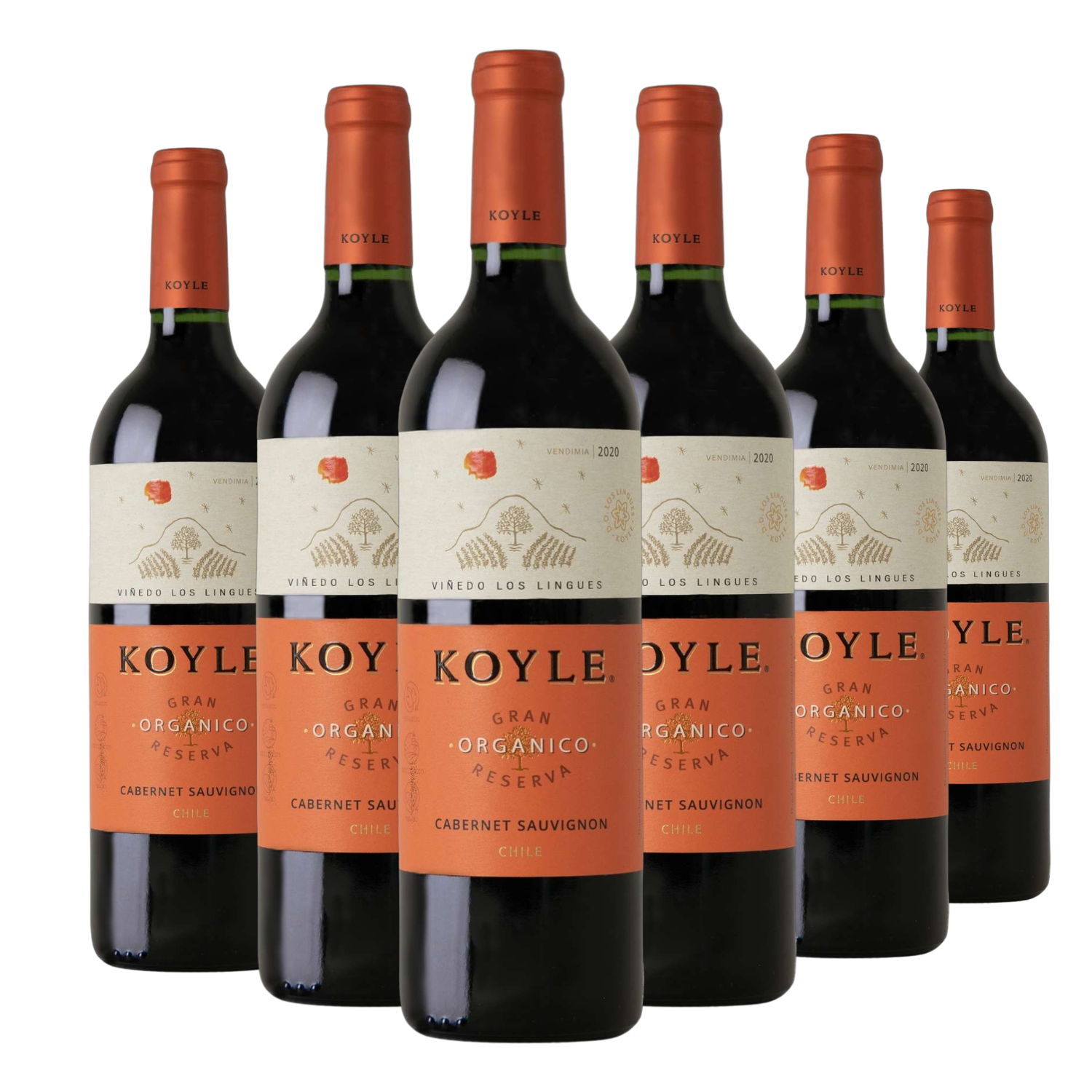Kit 6 Koyle Gran Reserva Cabernet Sauvignon