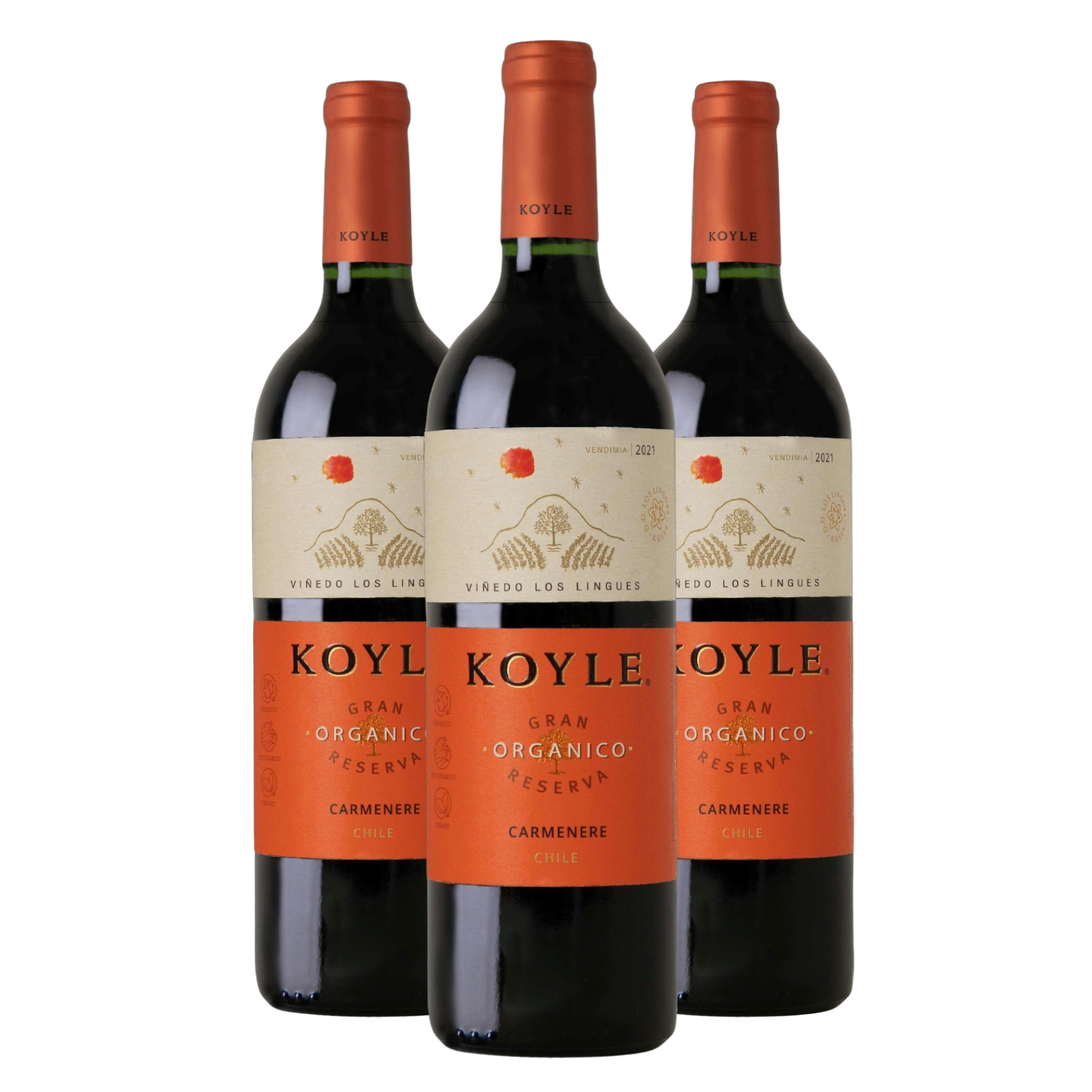 Kit 3 Koyle Gran Reserva Carménèré