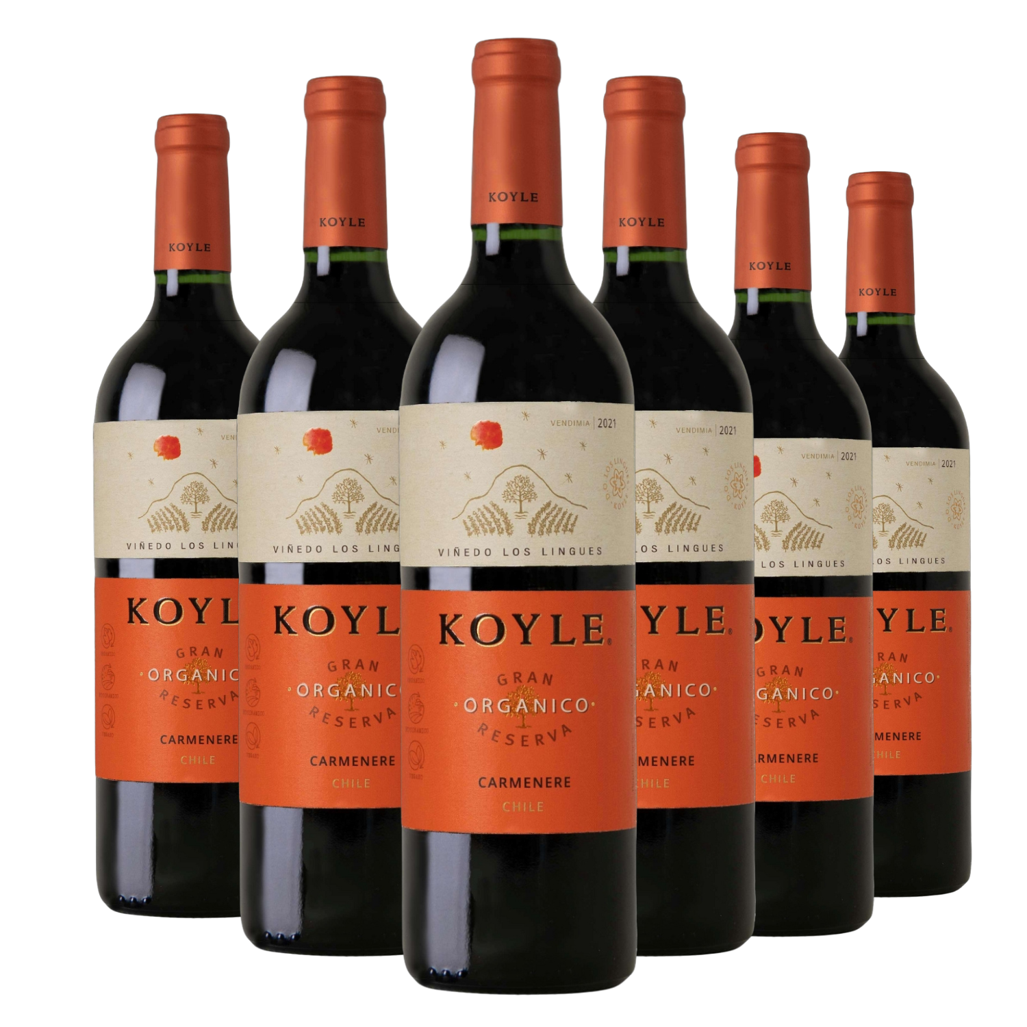 Kit 6 Koyle Gran Reserva Carménère