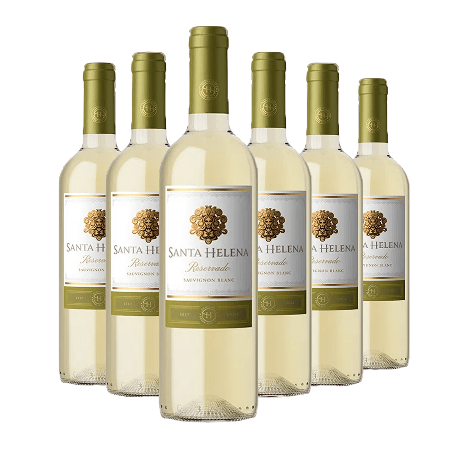 Kit 6 Santa Helena Reservado Sauvignon Blanc