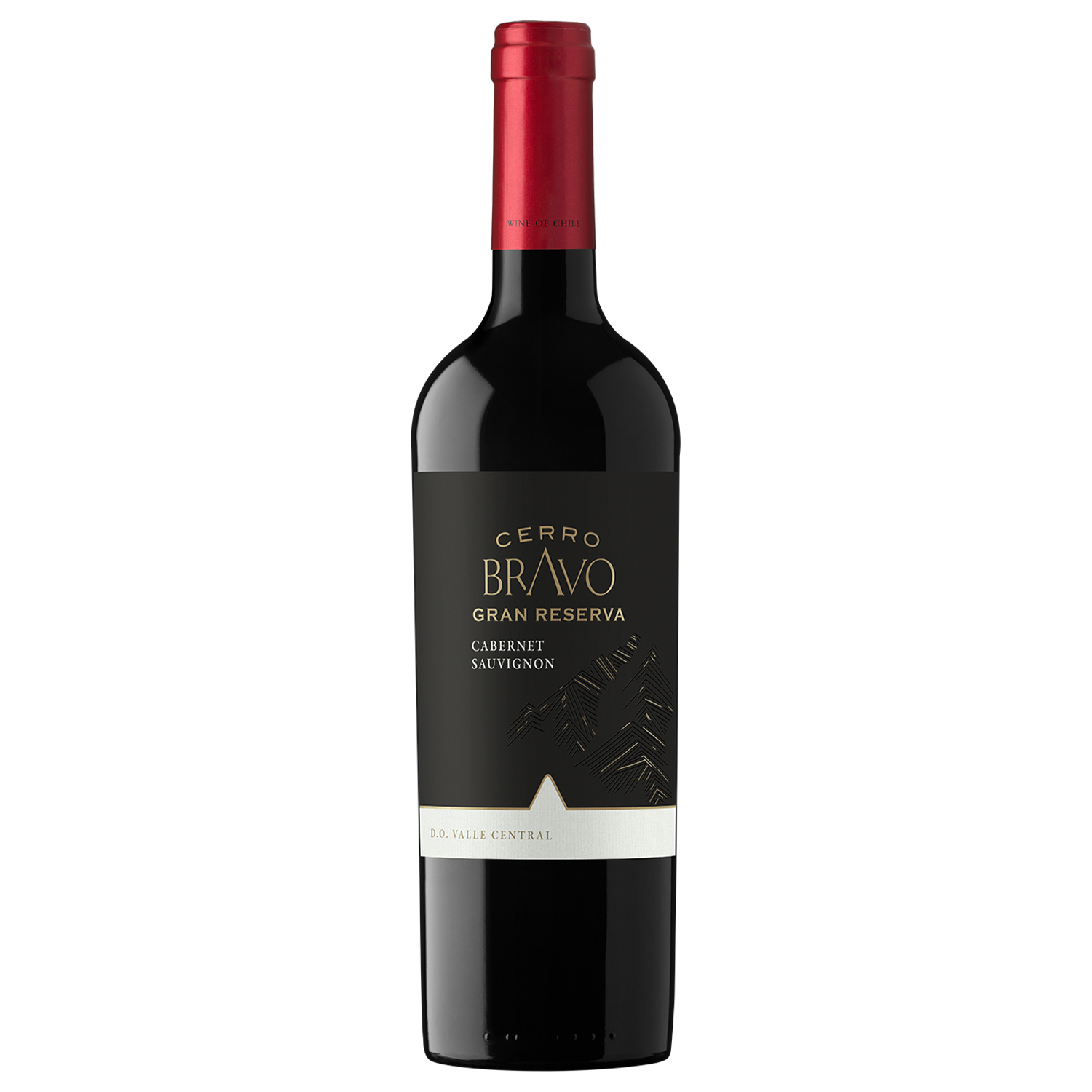 Cerro Bravo Gran Reserva Cabernet Sauvignon