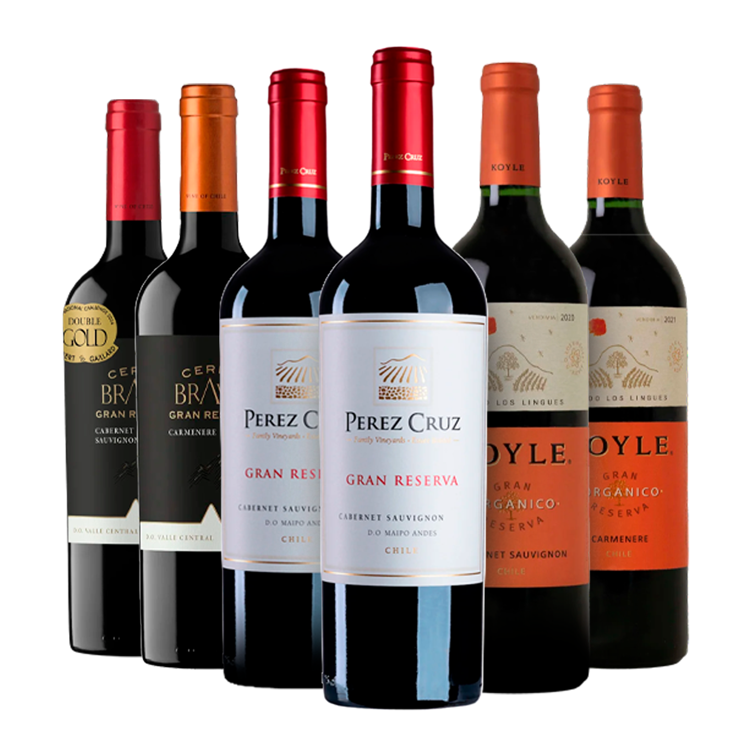 Kit Gran Reserva Chile