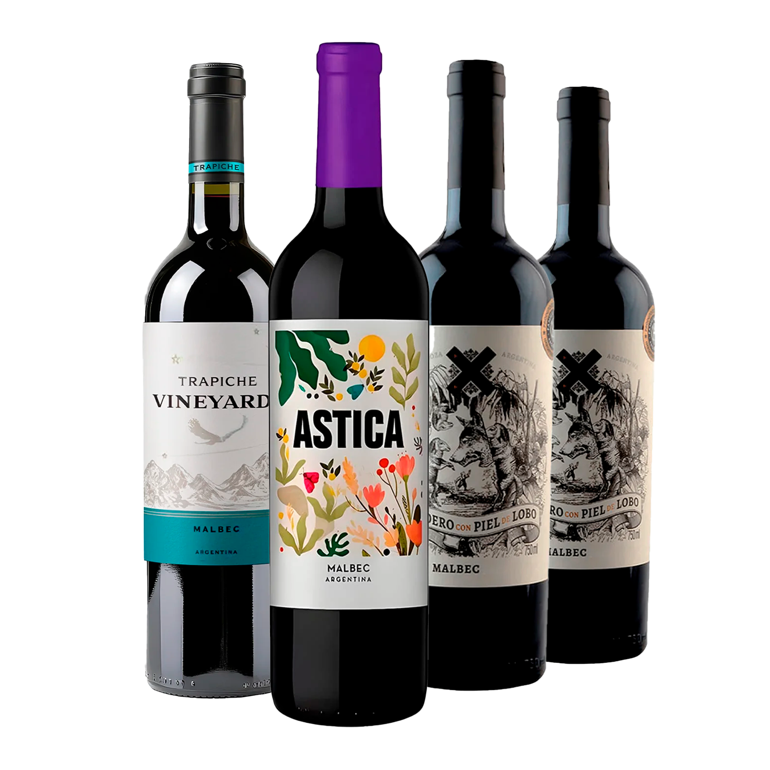 Kit Malbecs Argentinos