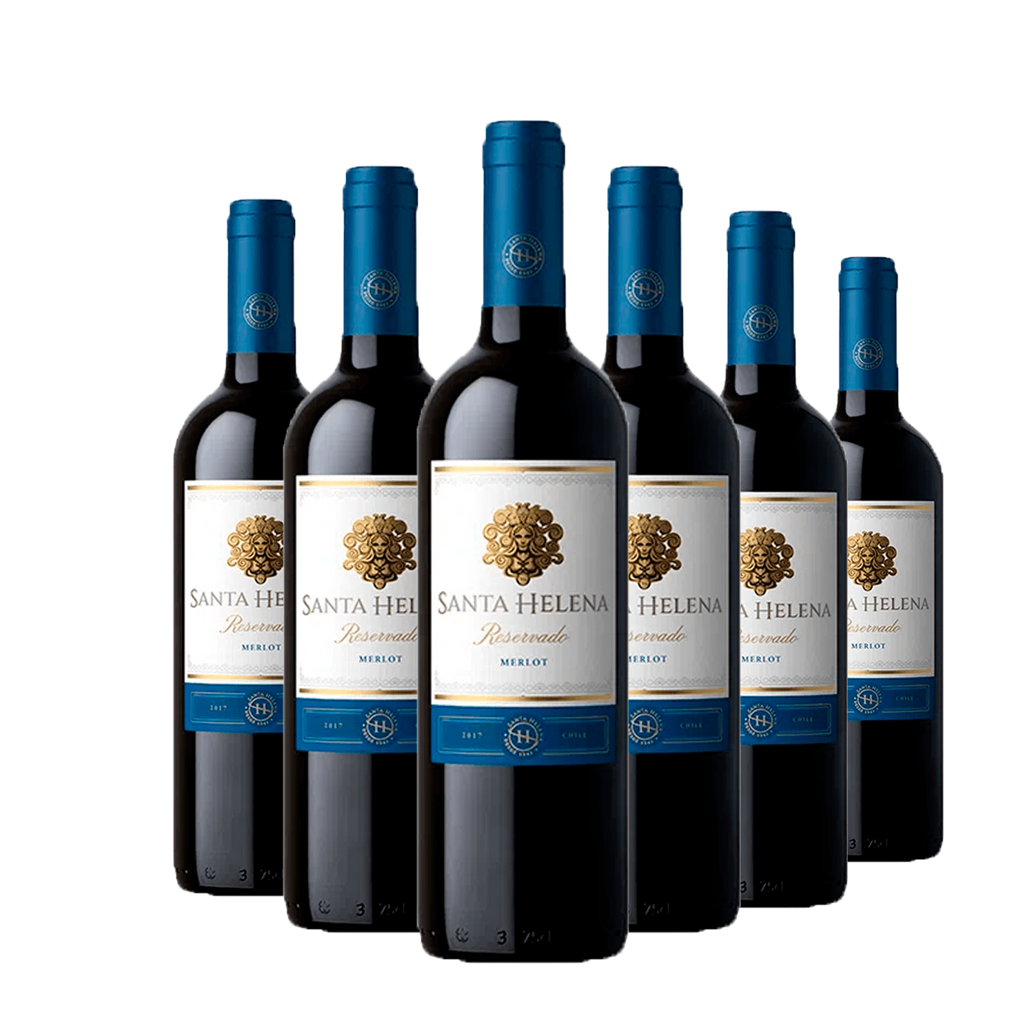 Kit 6 Santa Helena Reservado Merlot